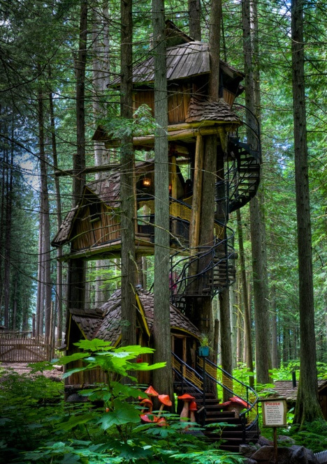 tree-house-of-fairy-tales.jpg