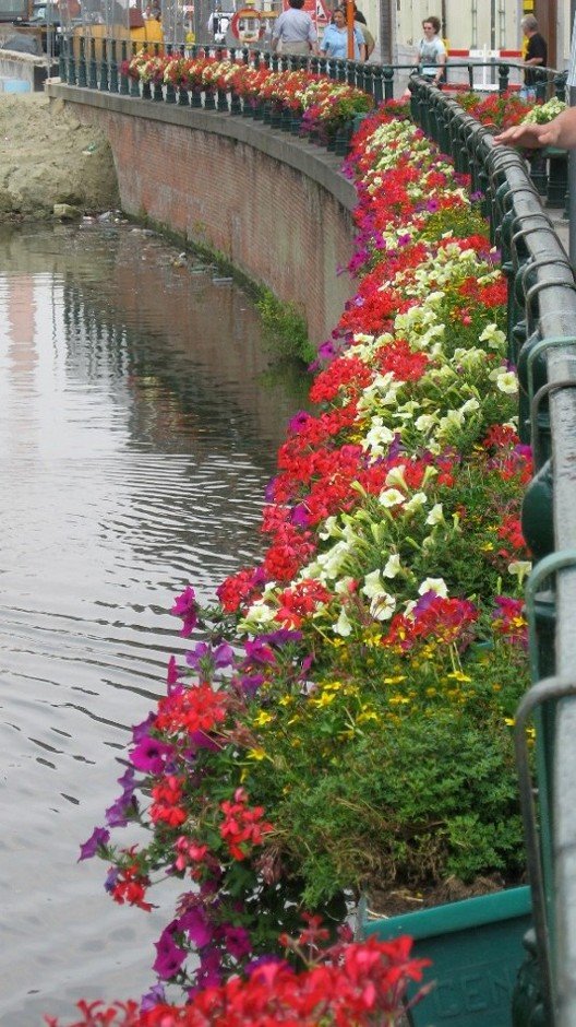 gent%2005%20-%20flowers%20along%20canal.2.jpg