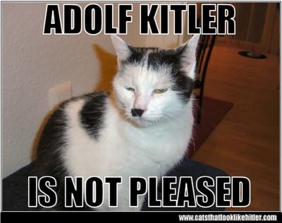 kitler.jpg