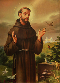 StFrancis04.jpg