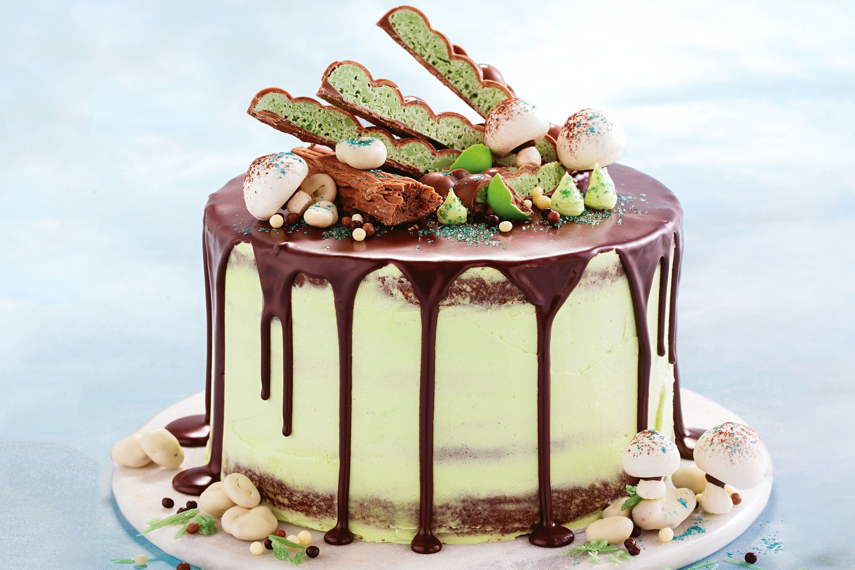 choc-mint-forest-naked-cake-109491-1.jpeg