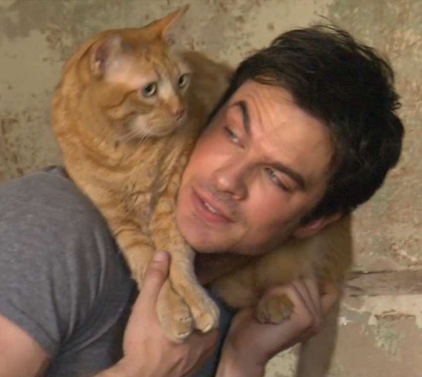 Ian-Somerhalder.png