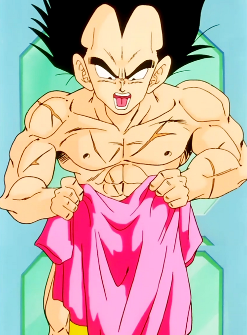 Vegeta-prince-vegeta-31491299-500-678.png