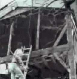 1266318404_demolition_fail.gif
