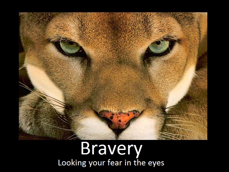 bravery_motivational_by_serpent1212-d3er0vq.jpg