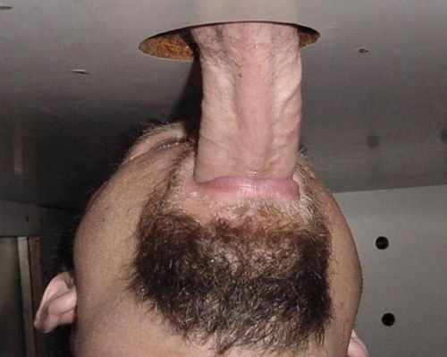 tumblr_lphwjxhqKf1qiii9po1_500.jpg