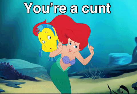 youre_a_cunt.gif
