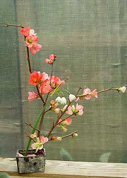 japanese-flower-arrangements.jpg