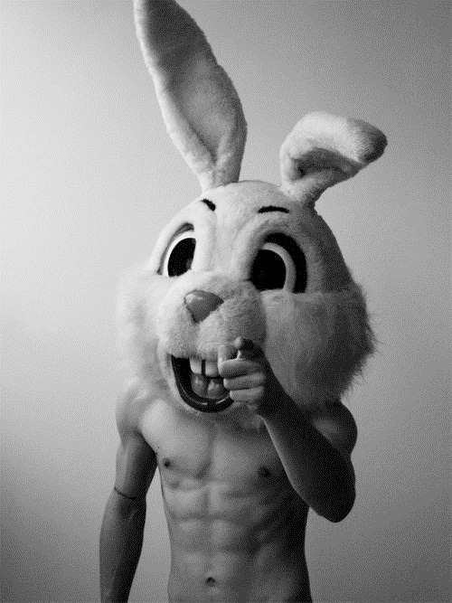 tumblr_lxre1p2HhB1qf80m9o1_500.jpg