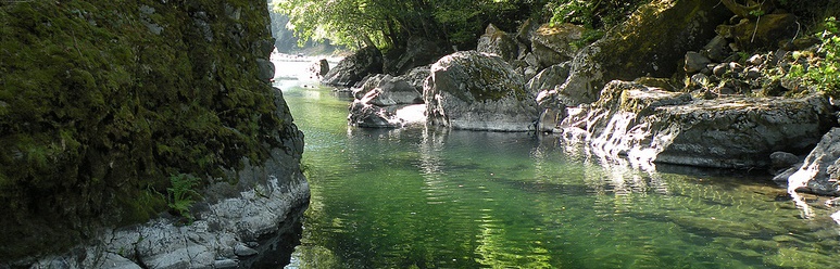 wilson-river-swimming-hole-banner.jpg