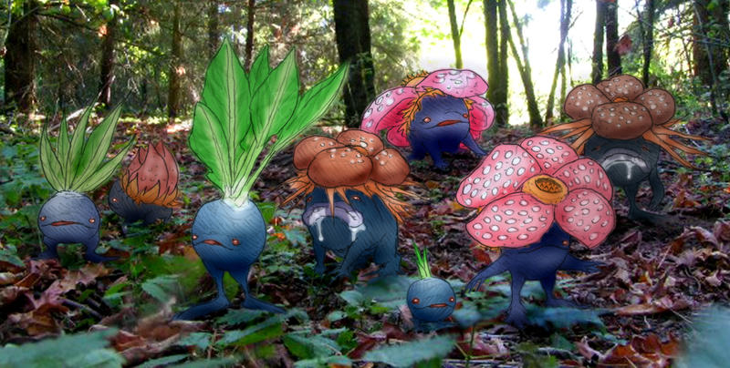 Oddish_Gloom_Vileplume_by_RtRadke.jpg
