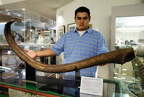 The-Largest-Ever-Penis-Bone-2.jpg
