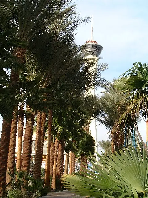 stratosphere_tower.jpg
