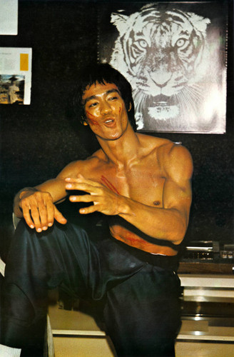 bruce-lee-bruce-lee-32792019-328-500.jpg