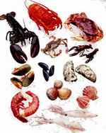 Seafood.jpg