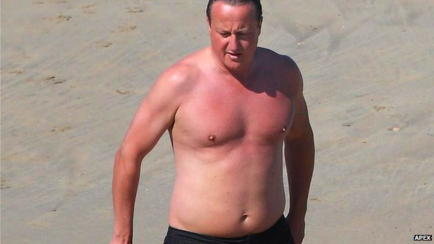 _69445650_david_cameron.jpg