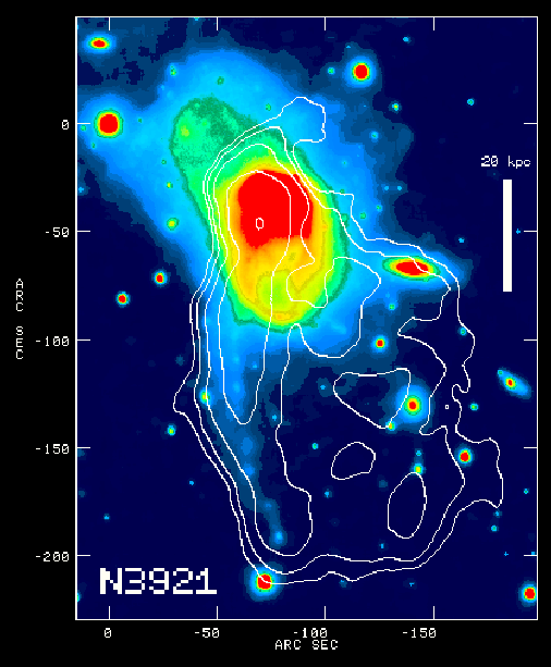 N3921.gif