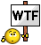 wtf.gif