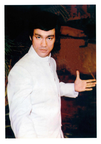 bruce-lee-bruce-lee-32792009-352-500.jpg