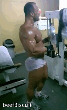 tumblr_mrqyy8WpMv1s613y1o1_250.gif