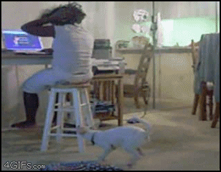 FZJwG78Z6RpoQ.gif