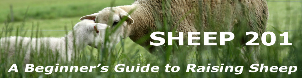 sheep201newlogo..jpg