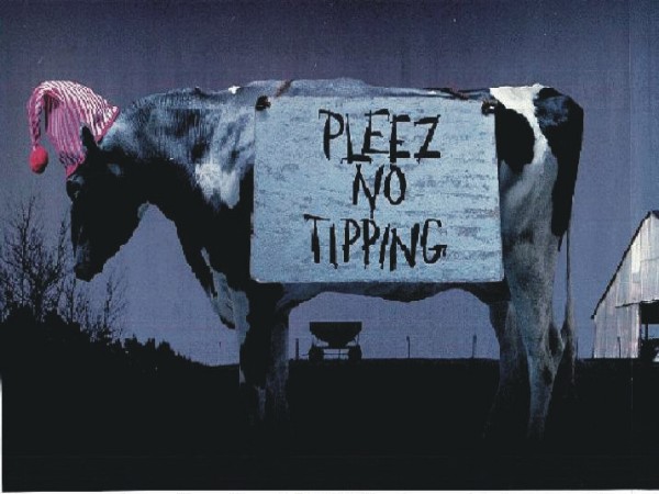 No+Cow+Tipping.jpg