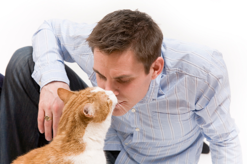 man-loves-cat.jpg