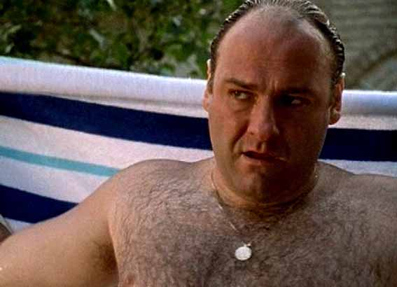 gandolfini20.jpg