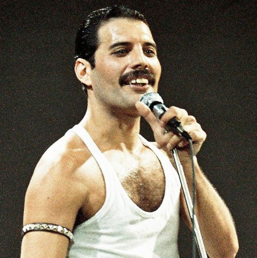 03-freddie-mercury.w529.h529.jpg