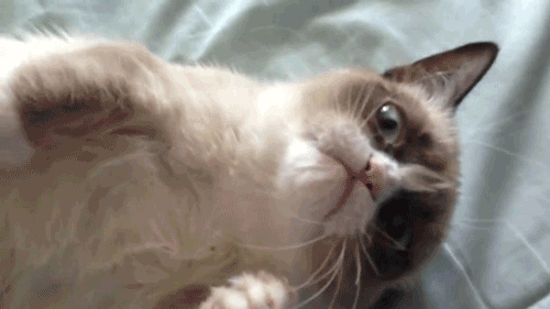 grumpygif.gif
