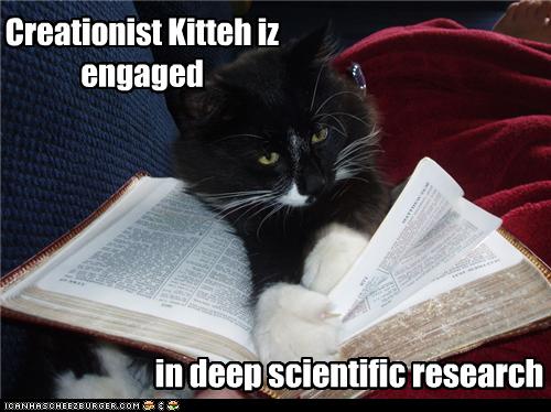 creationist-cat.jpg