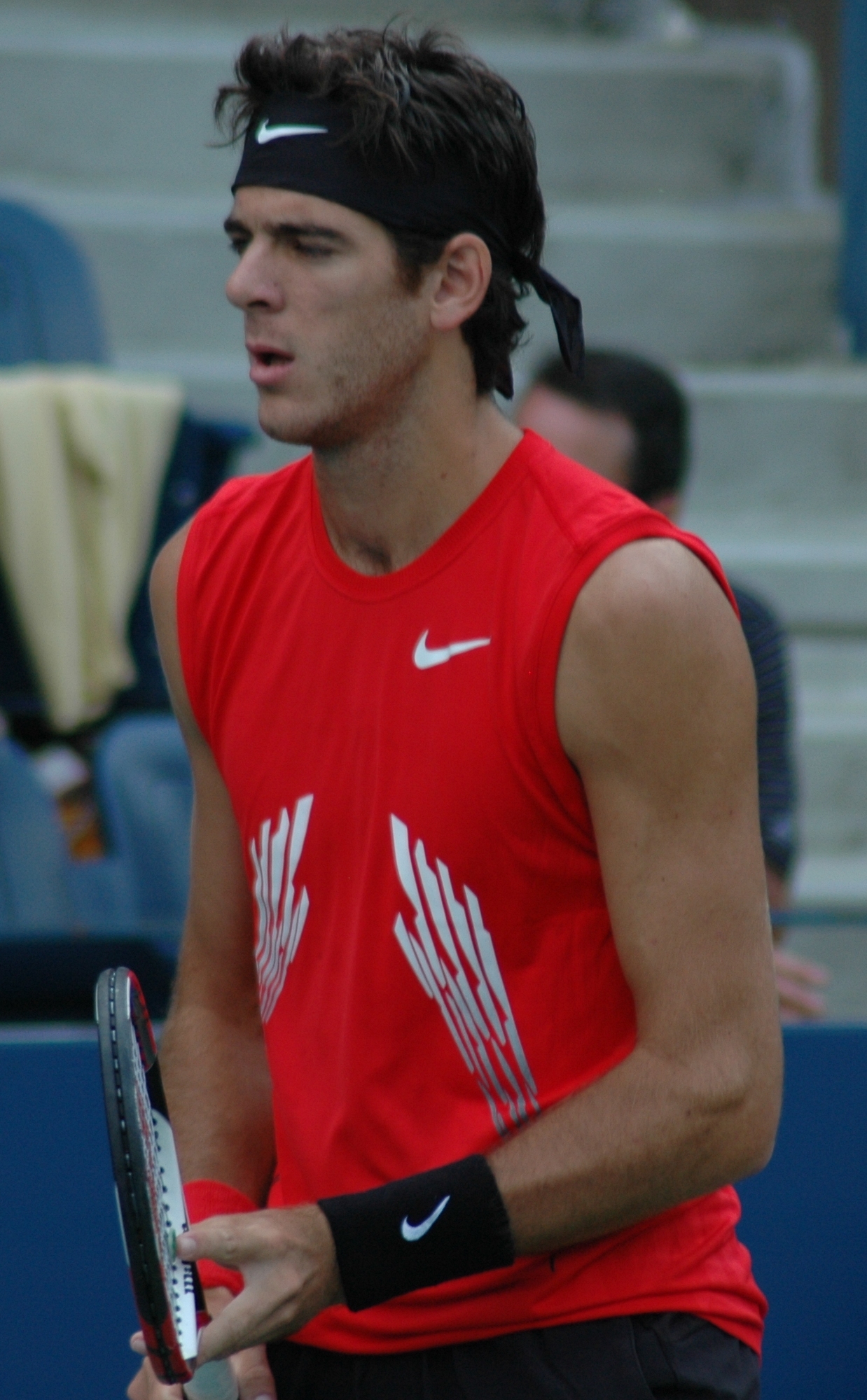 Juan_Martin_del_Potro_at_the_2008_US_Open5.jpg