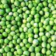Green%20Peas.jpg