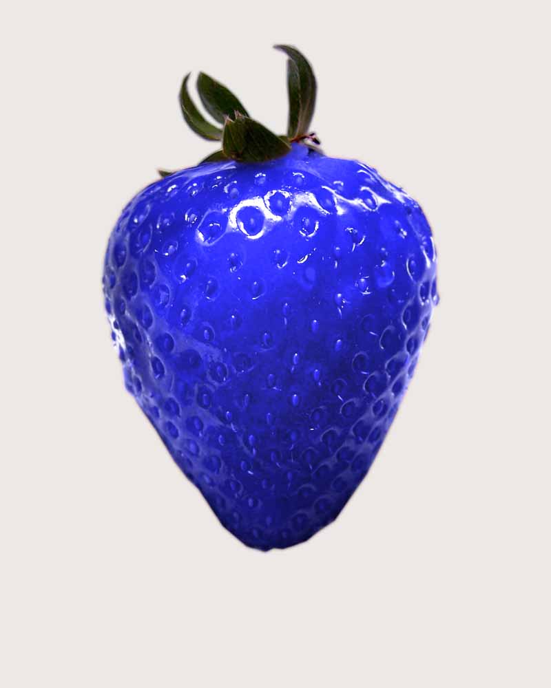 straberry-blue-copy-better.jpg