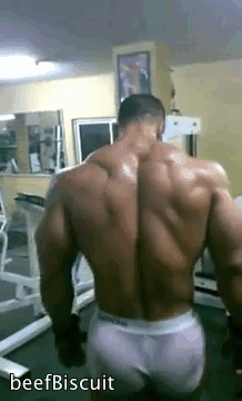 tumblr_mrqyy8WpMv1s613y1o4_250.gif