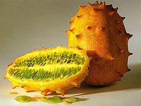 kiwano01.jpg