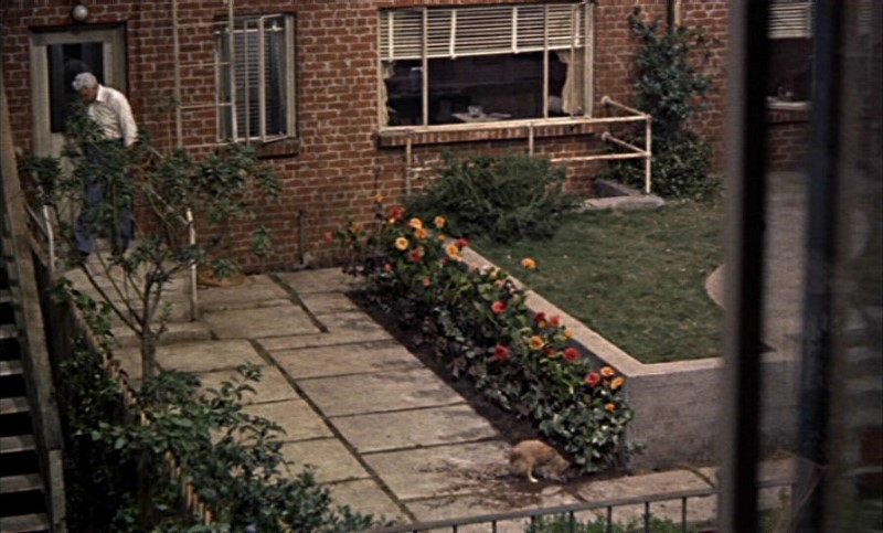 rear-window-burr-in-garden.jpg
