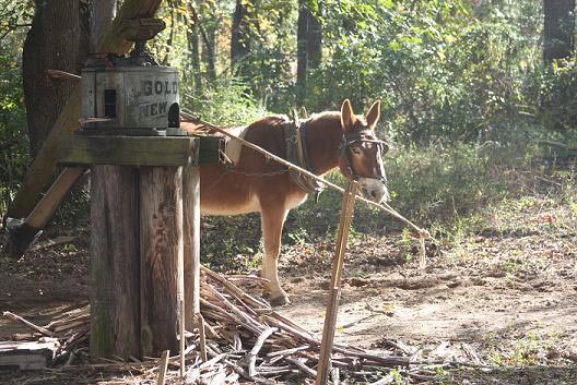 mule-and-mill.jpg