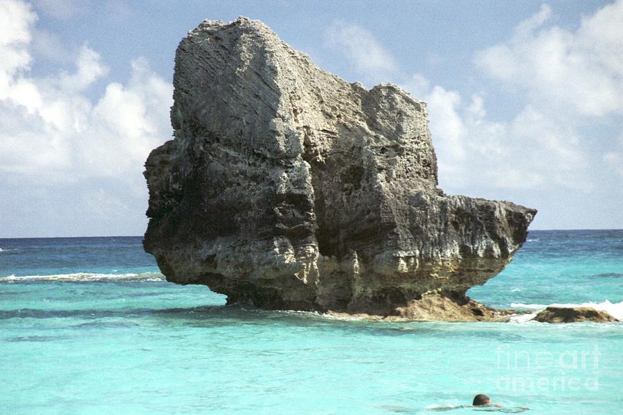 big-rock-in-ocean--bermuda-heather-kirk.jpg