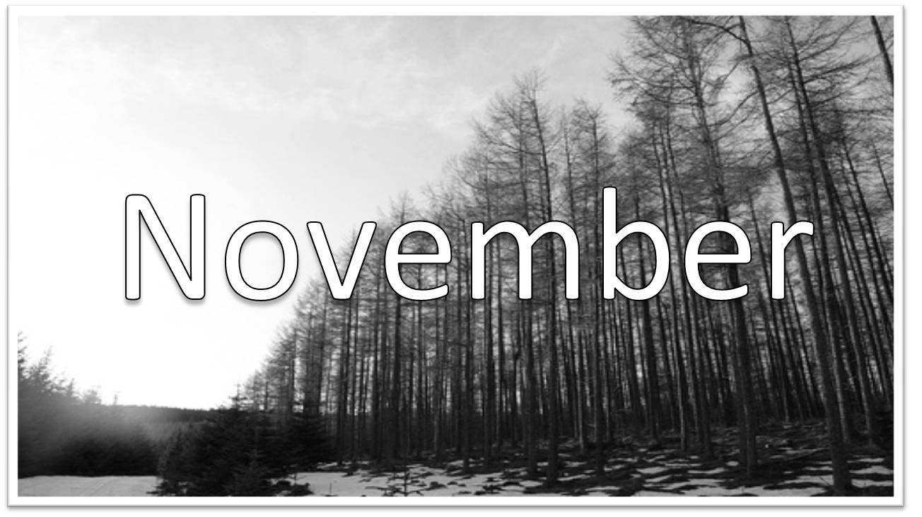 November1.jpg