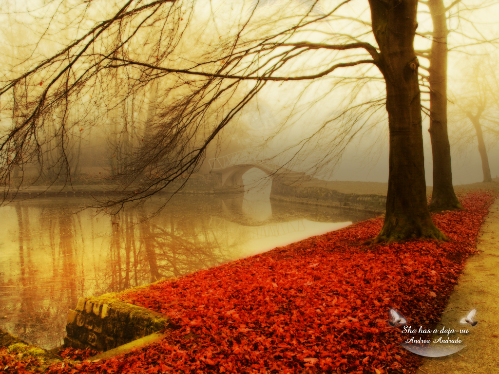 Autumn-wallpaper-autumn-9444951-1024-768.jpg