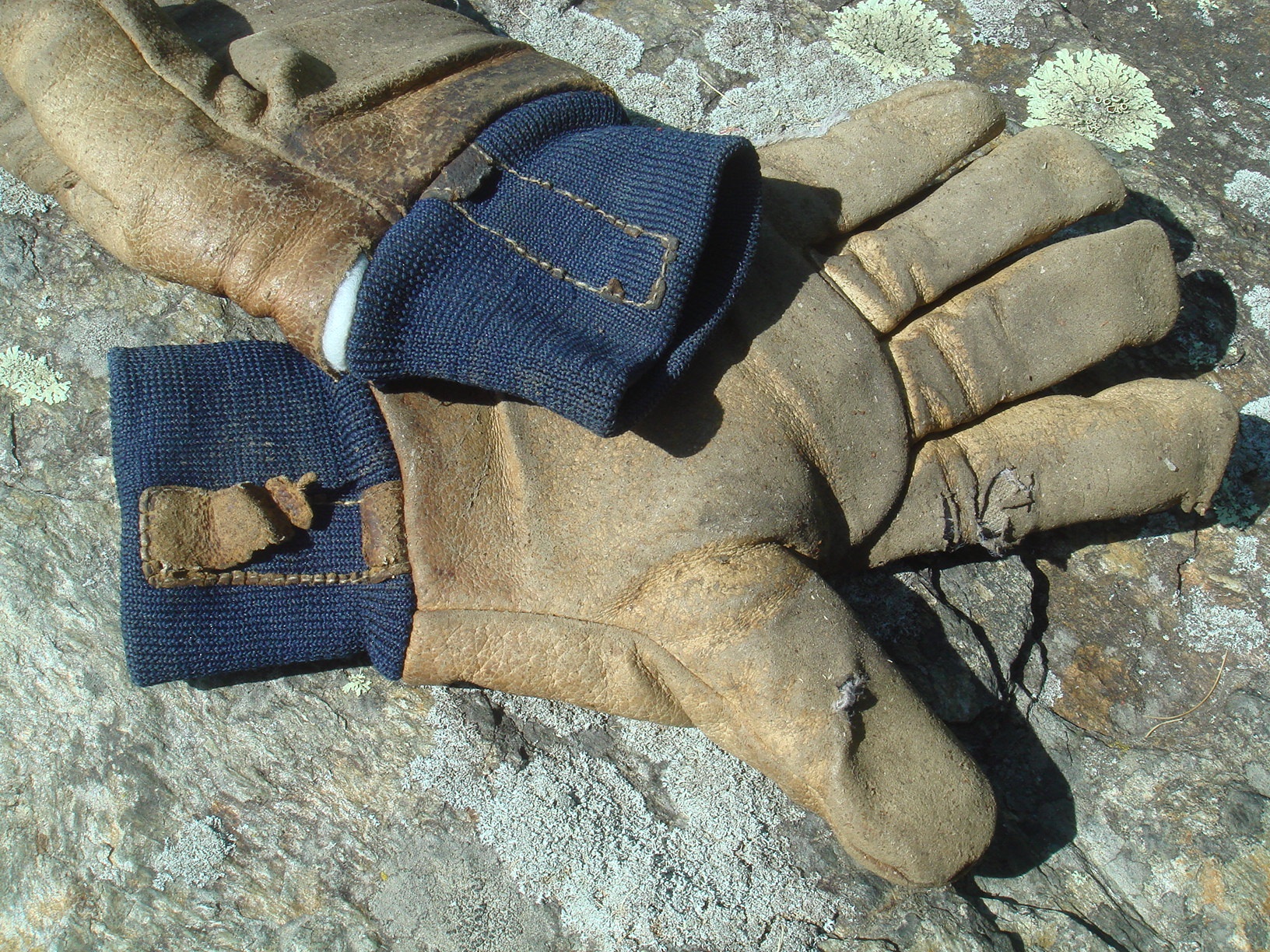 work%20gloves.jpg