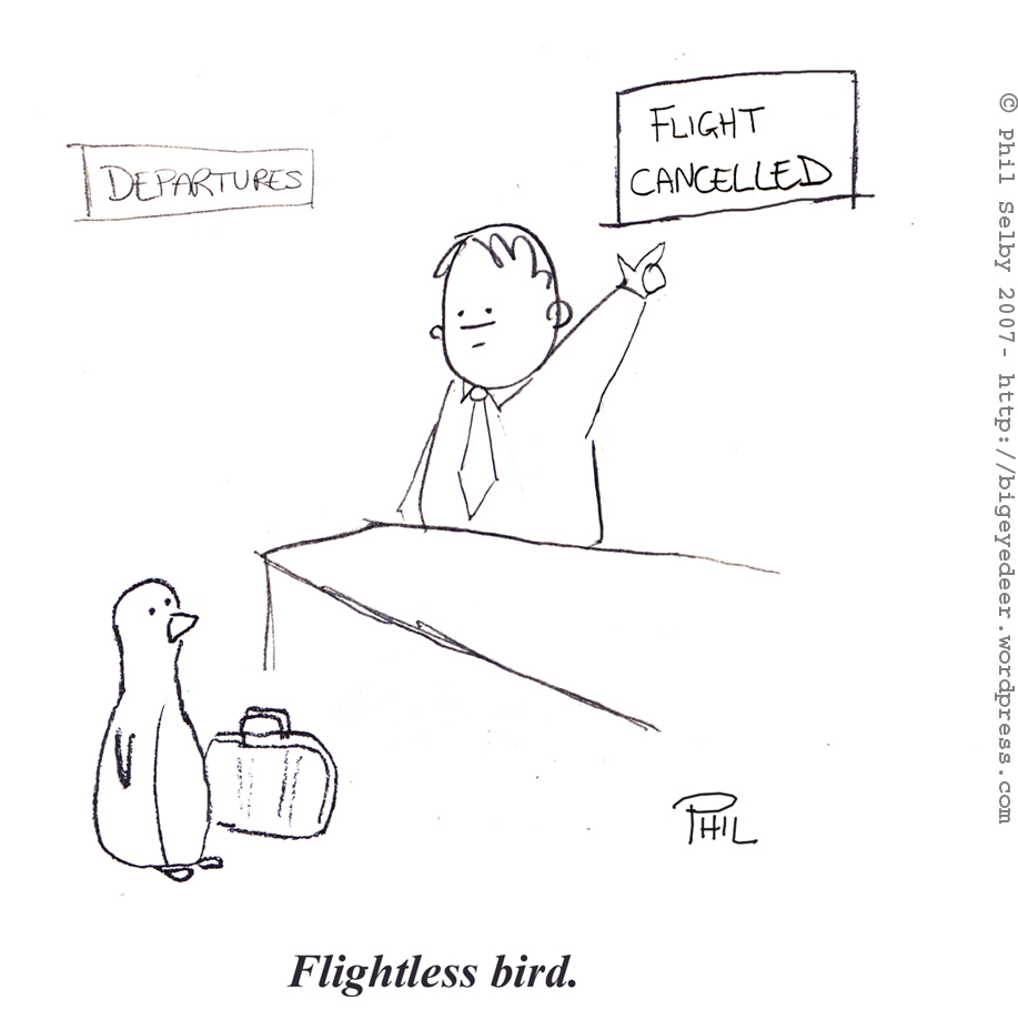 flightless-bird.jpg