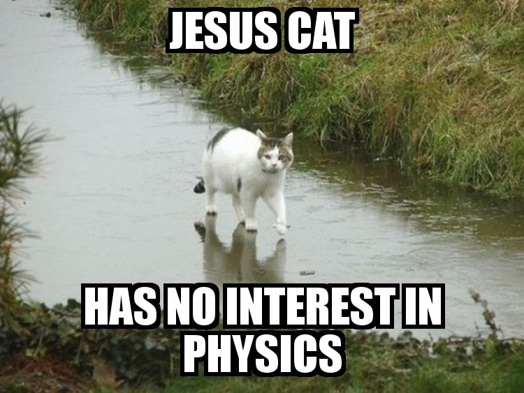 2594-jesus-cat.jpg