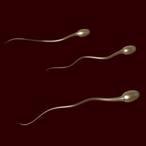 Sperm-from-Stem-Cells-to-Increase-Hopes-for-Fertility-2.jpg