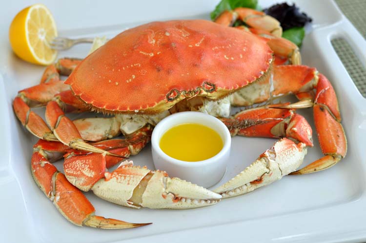 DungenessCrab09.jpg