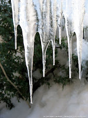 icicle.JPG