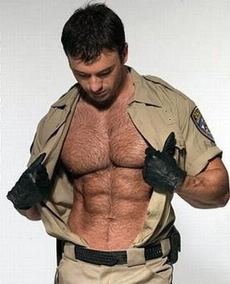 hot+cop+2.jpg