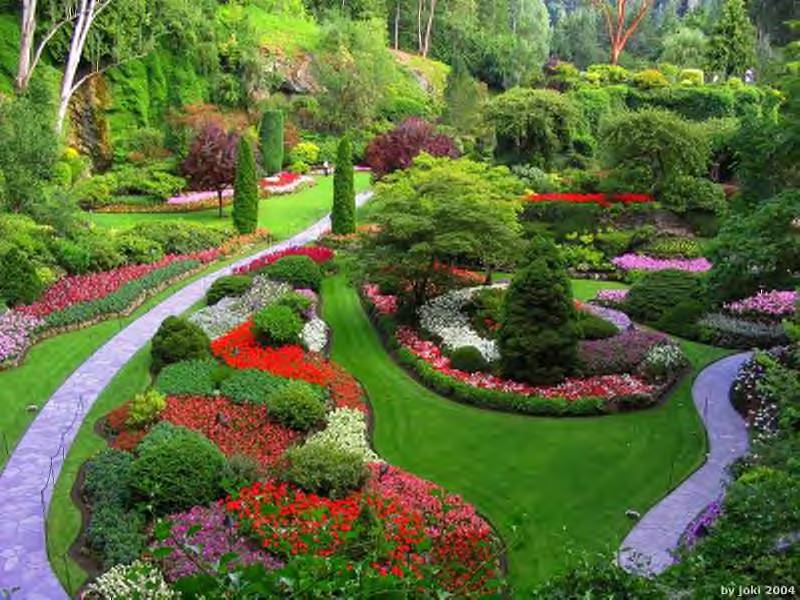 Butchart.gardens.jpg